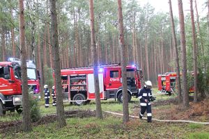 wozy strażackie i strażacy w lesie